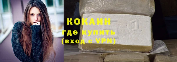 СК Алексин