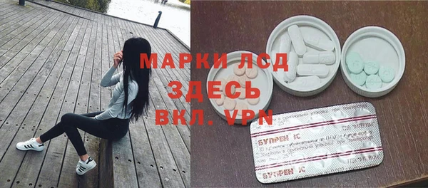 СК Алексин