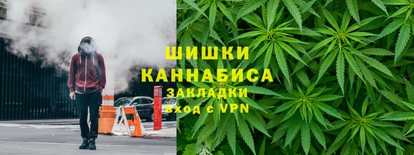 СК Алексин